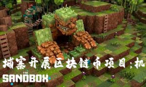 如何在柬埔寨开展区块链币项目：机遇与挑战